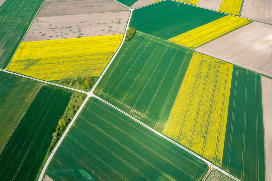 Field Variability Index