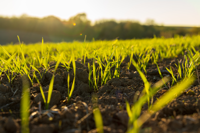 Regional Crops and Growth Scale Catalogs