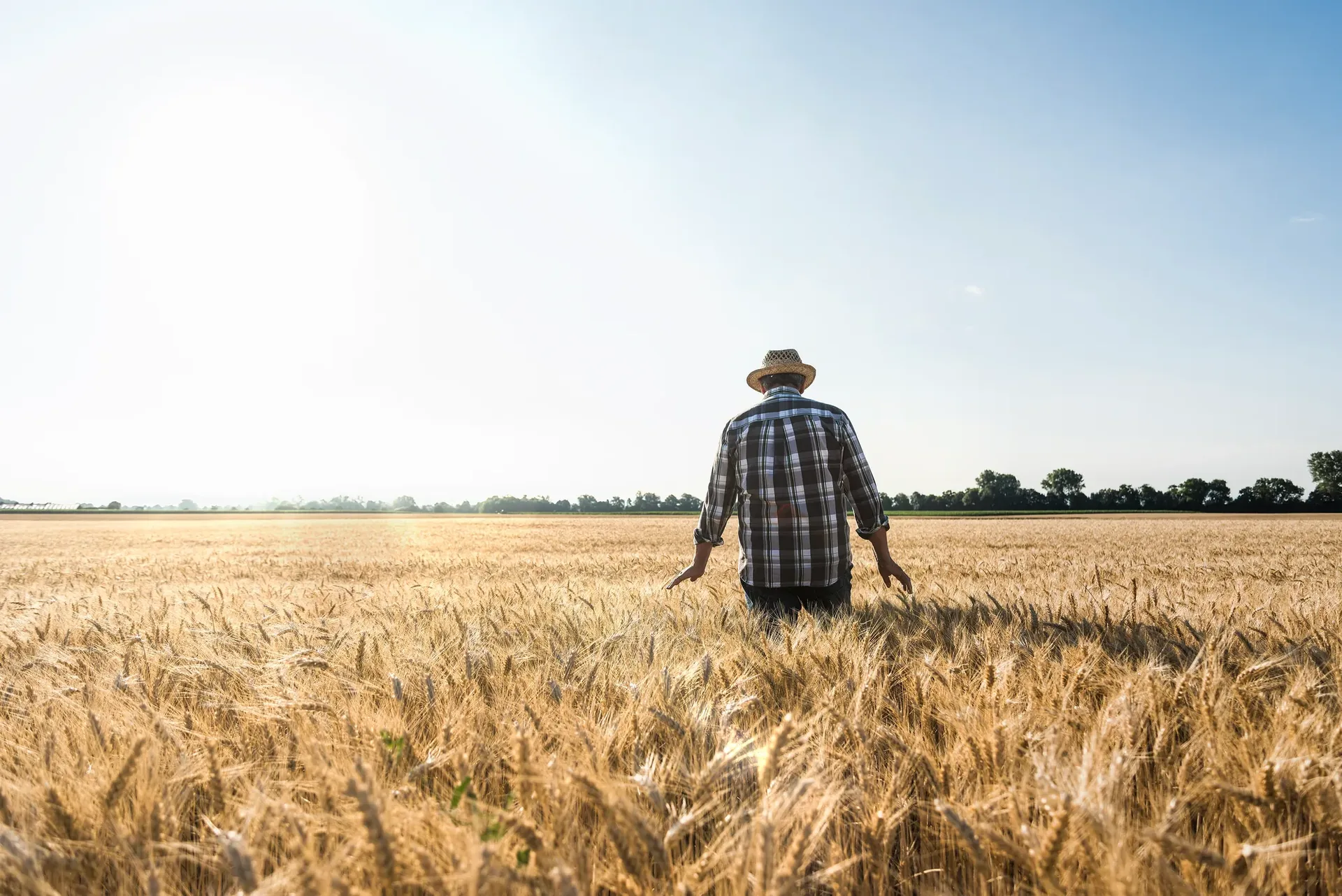 Season, Cycle and Crop areas