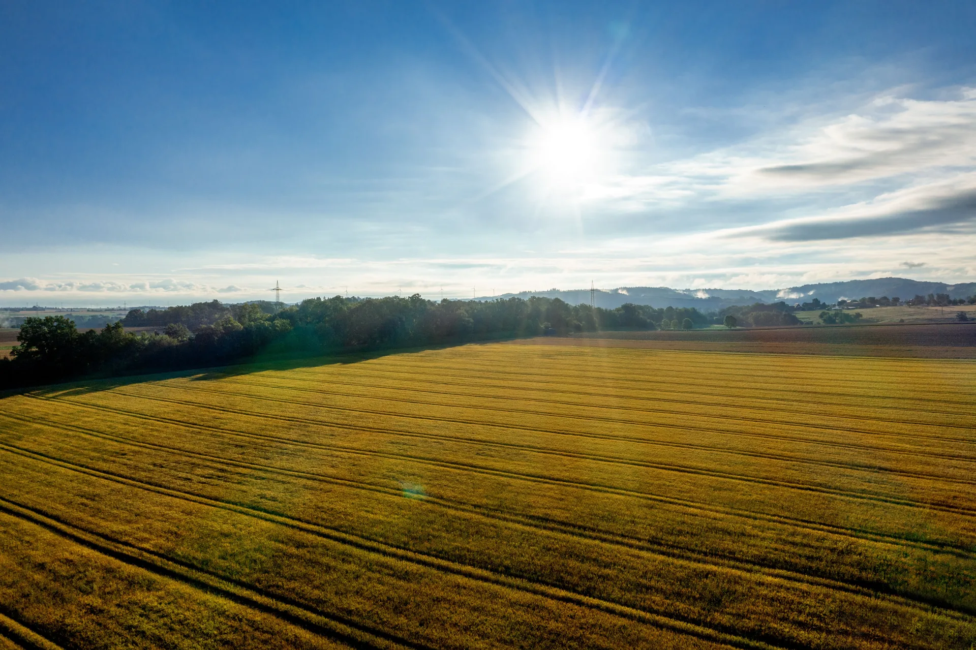Fields