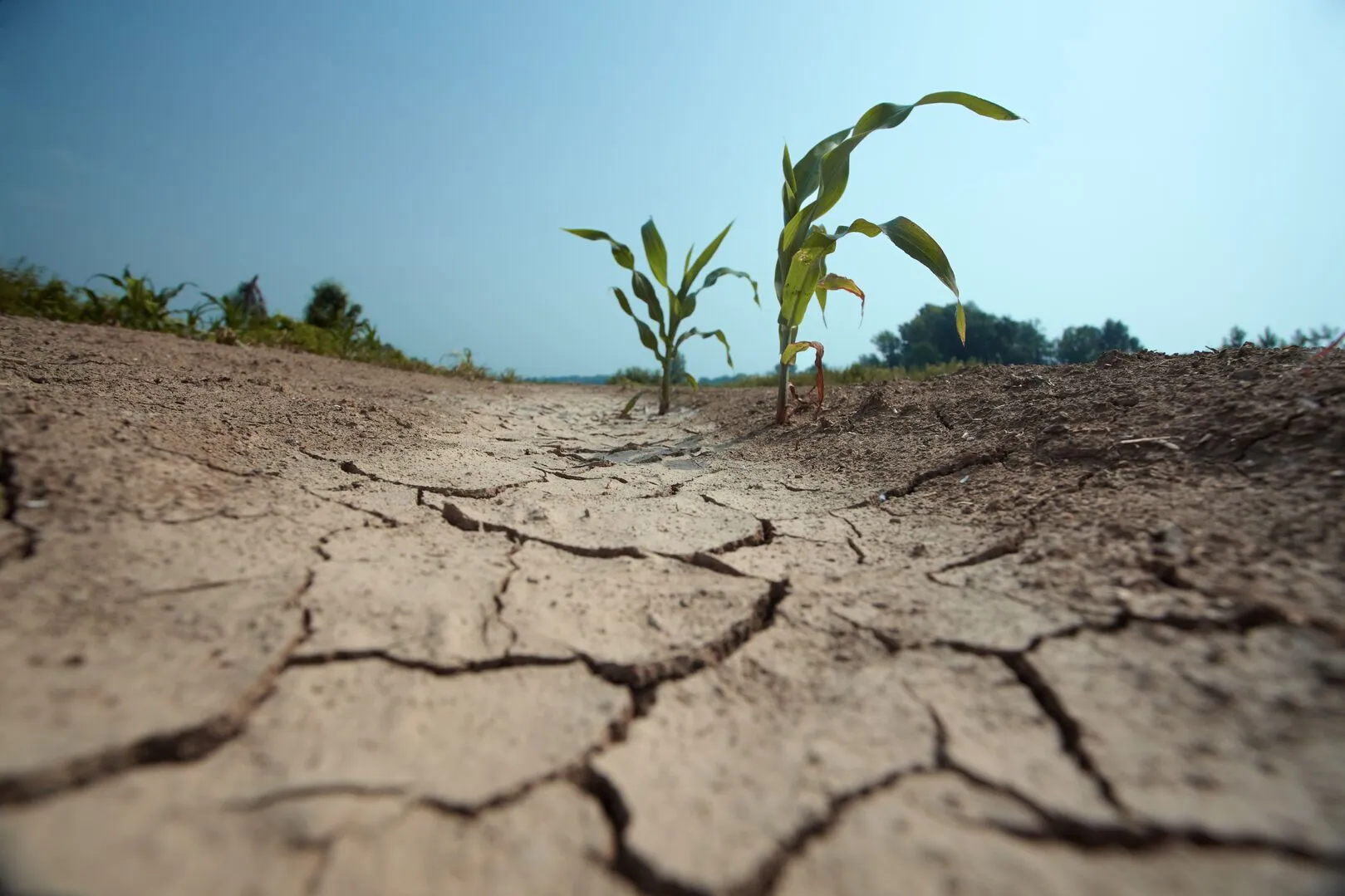 Regional Abiotic Stress Risk